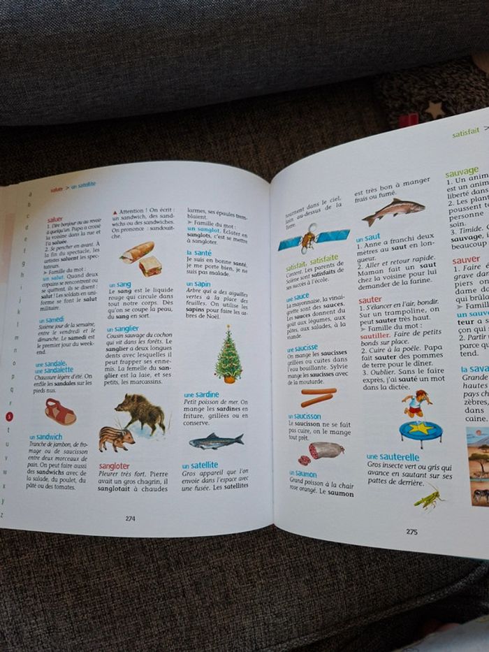Dictionnaire pour enfant le dictionnaire du père castor - photo numéro 4