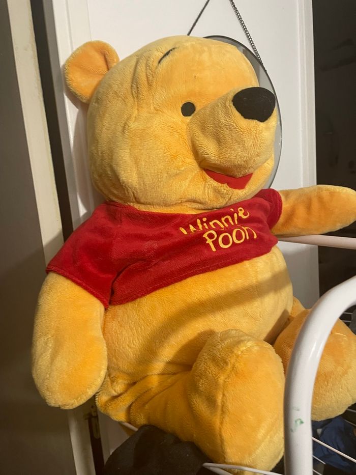 Ours winnie - photo numéro 2