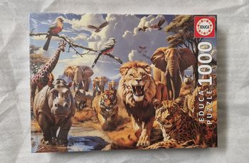 Grand puzzle 1000 pièces