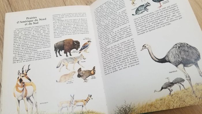 La nature autour du monde livre - photo numéro 7