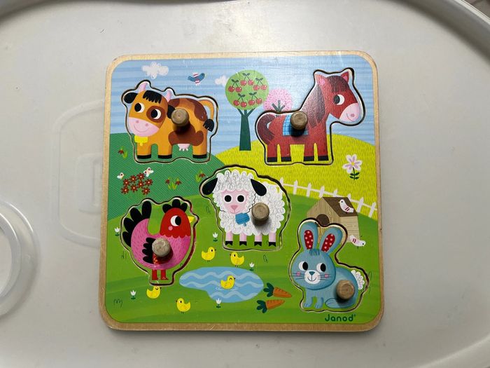 Puzzle boutons bois janod 5 pièces
