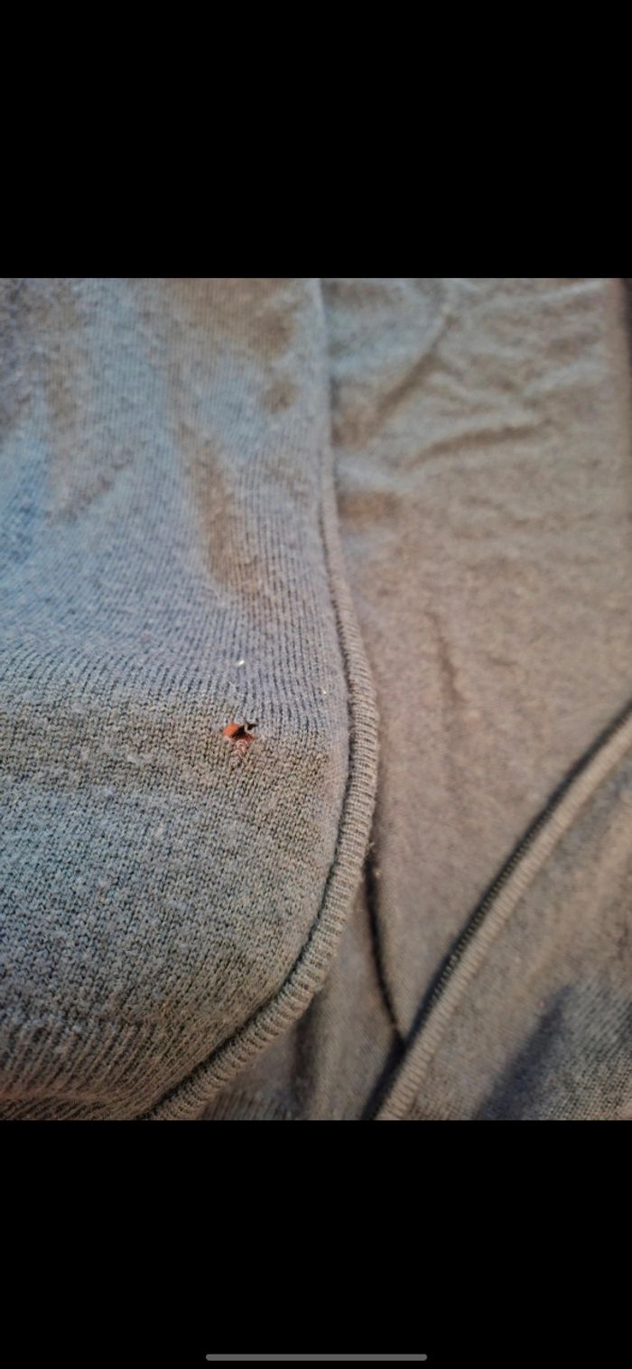 Veste galleries lafayette taille XL - photo numéro 5