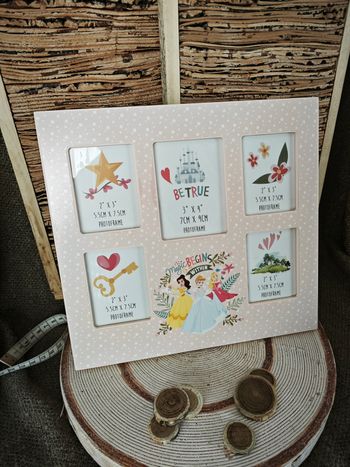 Cadre 5 Photos Disney Princesses 