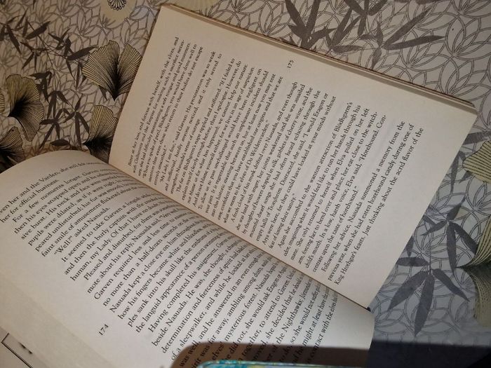 Brisingr Saga Eragon Tome 3 format broché - photo numéro 5