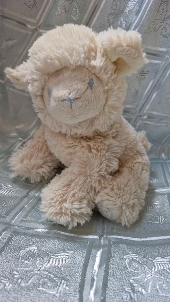 Mouton beige pediatril