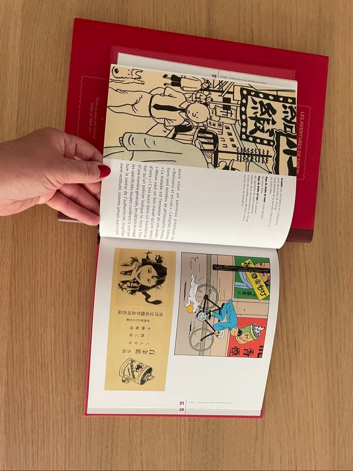🌟 BD TINTIN - photo numéro 5