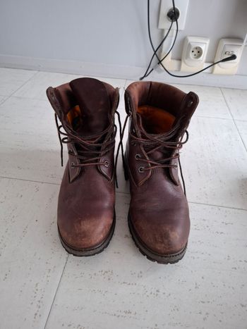 Chaussure Timberland