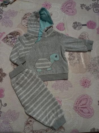 Ensemble tortue