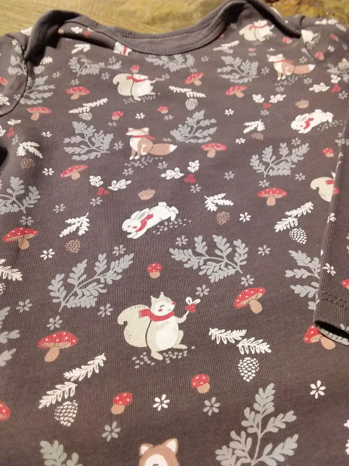 Lot de 2 bodies fille Absorba et c&a 18 mois - photo numéro 6