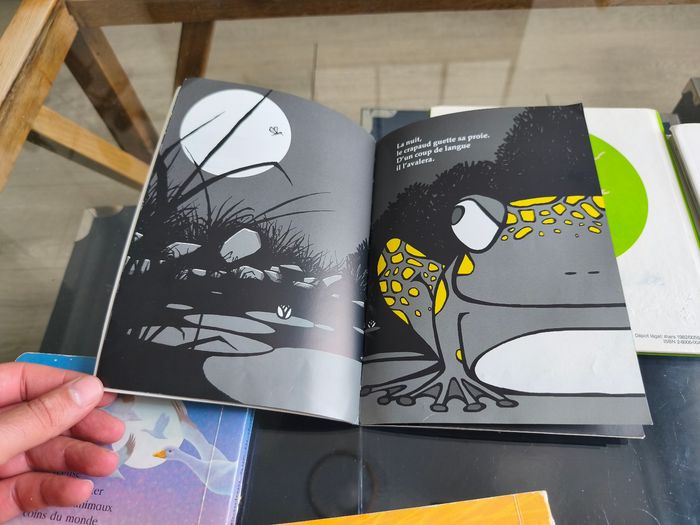 Lot de 5 livres enfants - photo numéro 5