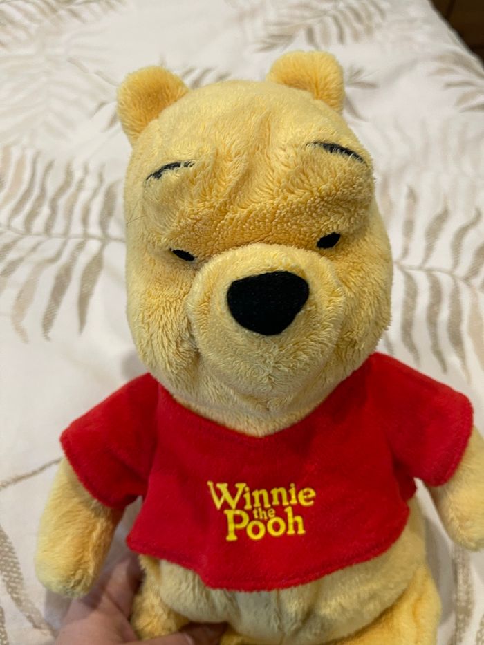 Winnie l’ourson - photo numéro 3