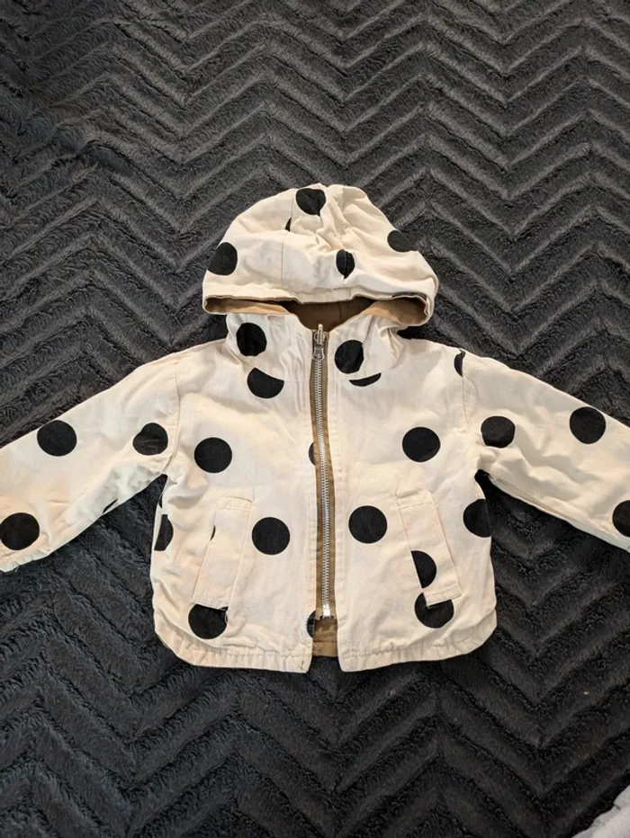Lot de 12 vêtements T12mois - photo numéro 3