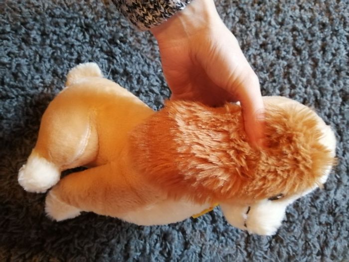 Belle disney - photo numéro 2