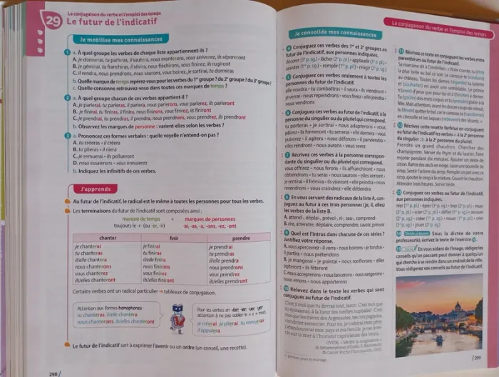 Manuel français : Fleurs d'encre 6e - photo numéro 8