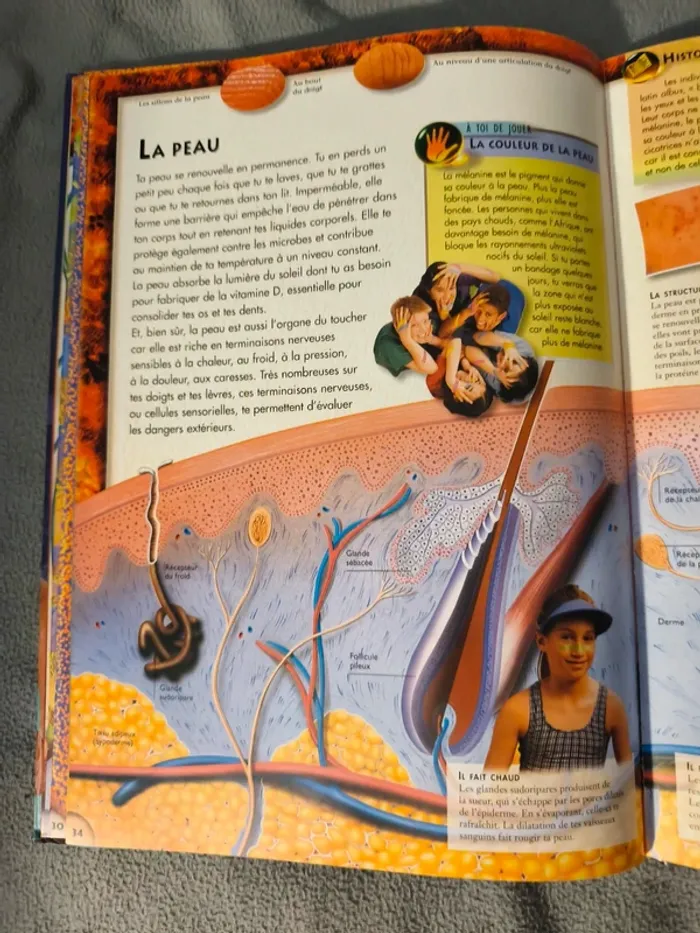 Le corps humain - Larousse - photo numéro 3