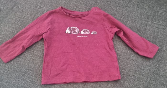 Lot de 3 t-shirts cotton orechestra/petits cailloux