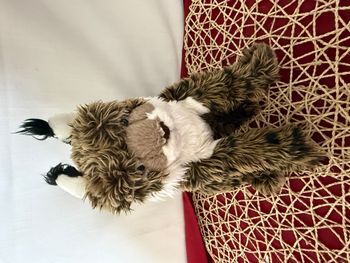 peluche lynx - doudou chat sauvage