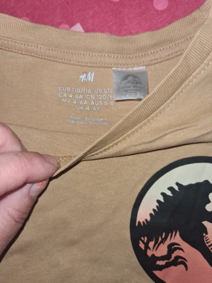 Lot de 3 tee-shirt jurassic world 5/6 ans H&M - photo numéro 3