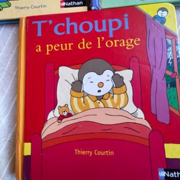 Lot de T’choupi - photo numéro 2