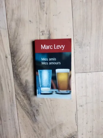 Marc Lévy Mes amis, mes amours