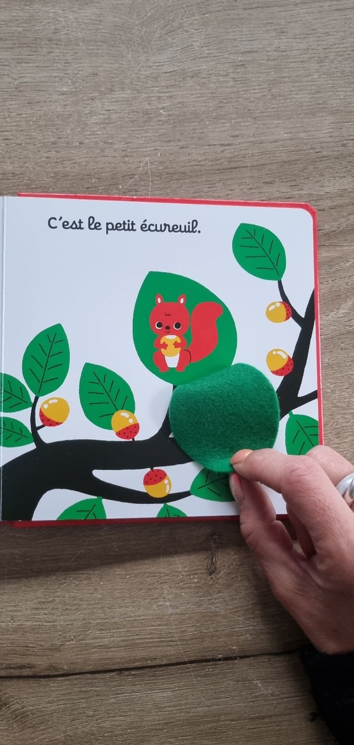 Livre à volets : On se cache ? - photo numéro 7
