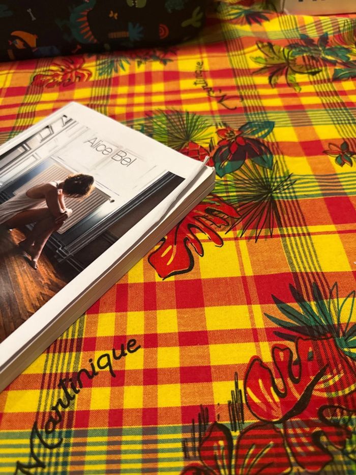 Llvre il ne peut rien arriver dans un monde qui n’existe pas - Alice bel - photo numéro 5