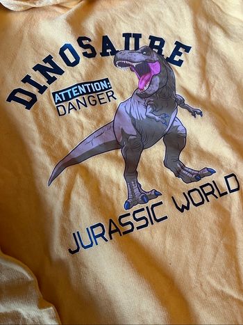 Sweat jurassic World taille 10 ans