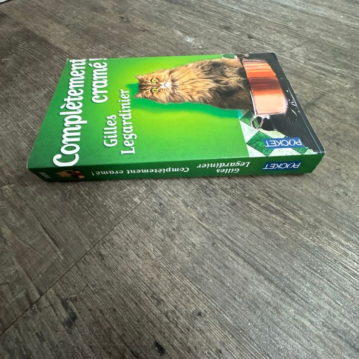 Gilles Legardinier - complètement cramé ! - photo numéro 2