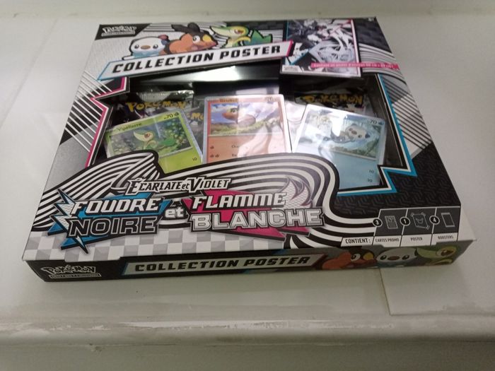 Pokémon coffret poster - photo numéro 6
