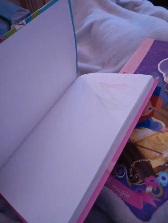 2 livre - photo numéro 4