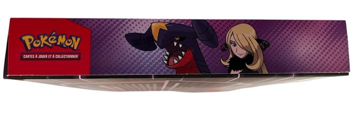 Coffret Carchacrok ex de Cynthia Pokémon - photo numéro 5