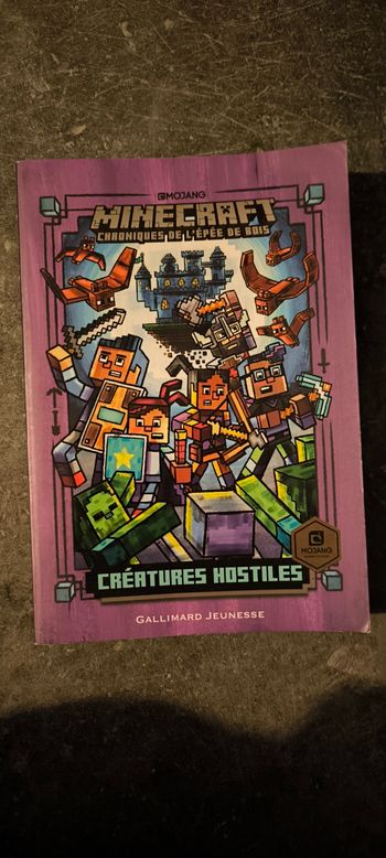 Livre Minecraft 
