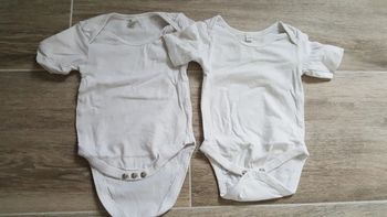 Body manches courtes