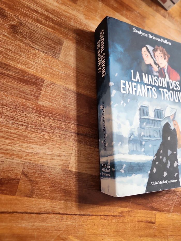 Livre : La maison des enfants trouvés - photo numéro 2