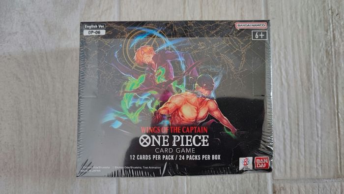 Display One Piece OP-06