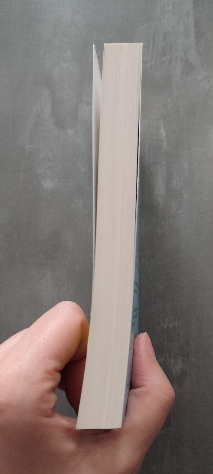 Livre un été pour tout changer à Vert-Cottage - photo numéro 4