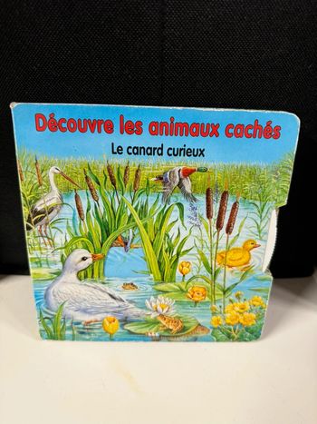 Livre découvre les animaux cachés le canard curieux