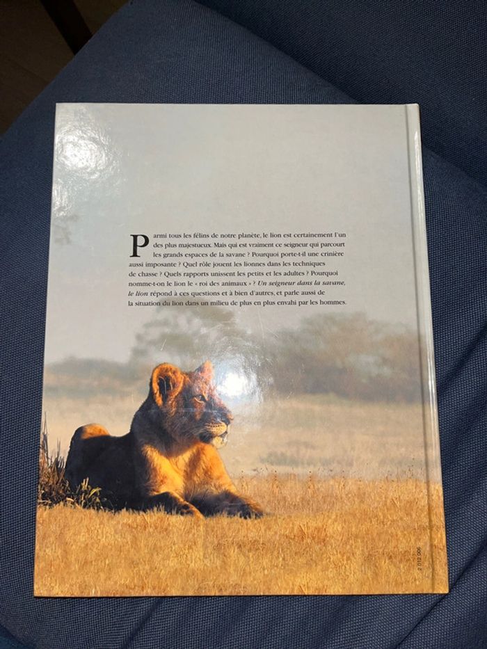 Livre pour enfants sur les animaux le lion - photo numéro 2