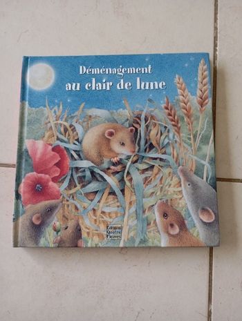 Livre déménagement au clair de lune éditions quatre fleuves neuf