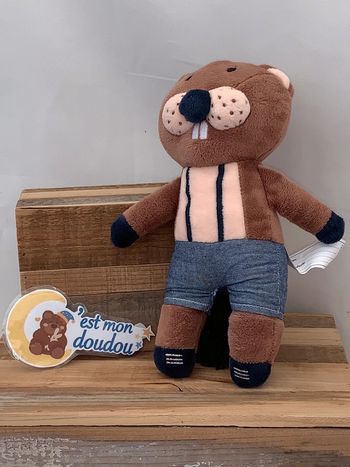 BC15 doudou castor 🦫 bout’chou