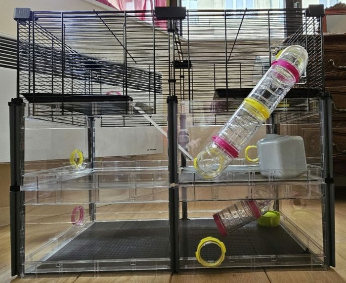 Cage pour Rongeurs : Hamster, cochons d’Inde, souris, cobaye ... - photo numéro 6