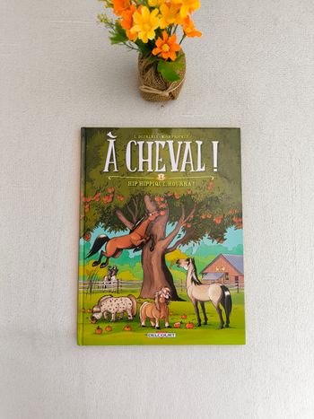 Livre À cheval 1 Delcourt