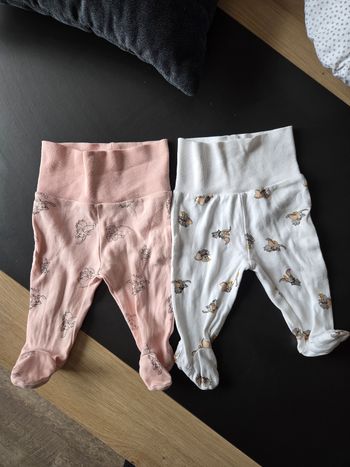 Pantalons dumbo Disney 3m