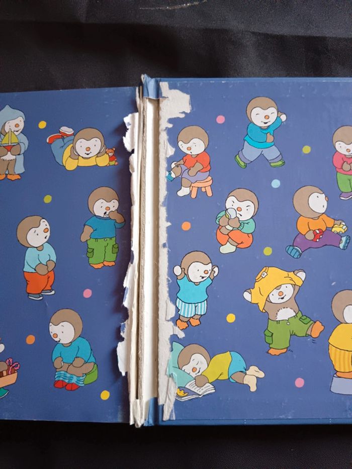 Livre 5 histoires de T'choupi - photo numéro 3