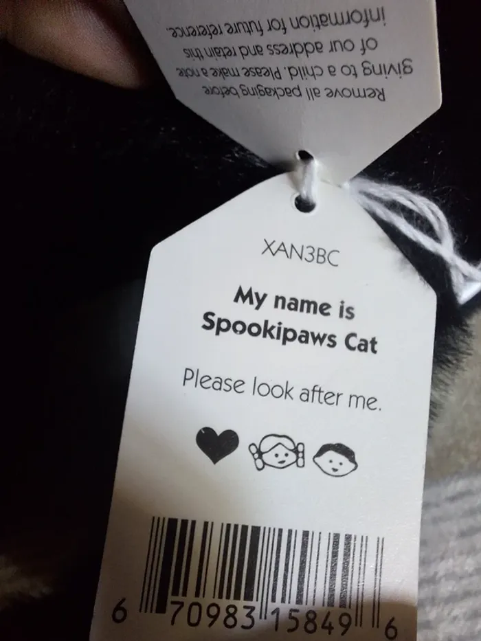 Spookipaws Cat jellycat - photo numéro 9