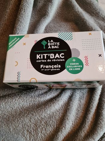 Boite à bac fiches révision bac français