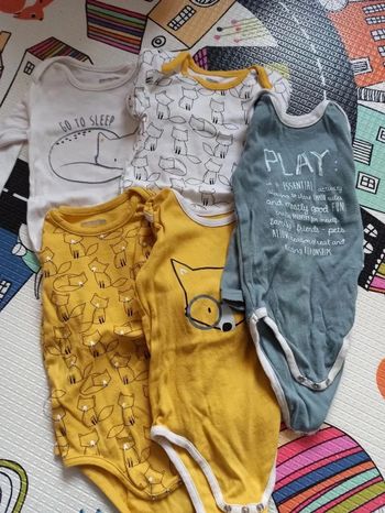 5 bodies loup garçon