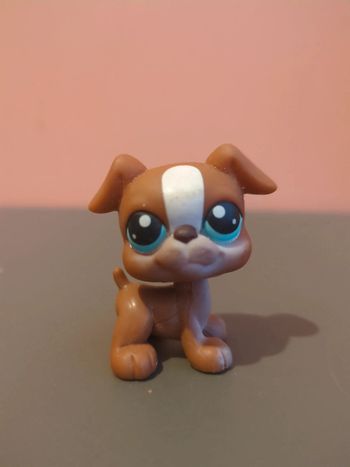 Littlest Petshop Lps Chien
