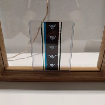 Pellicule démon slayer inosuke