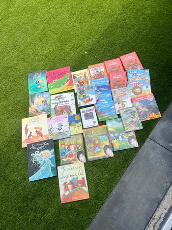 Gros lot de livres divers ( pas de vinted go )